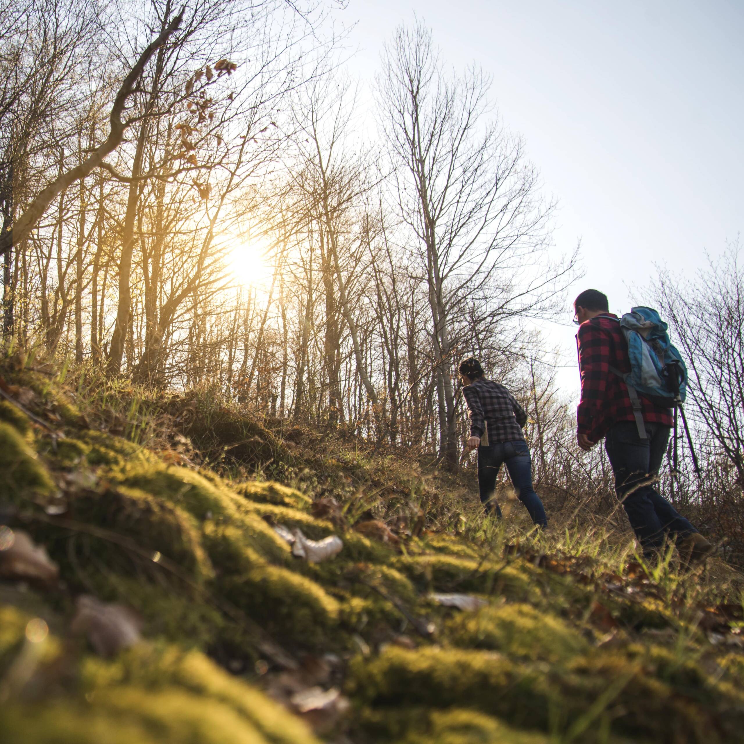 Trekking